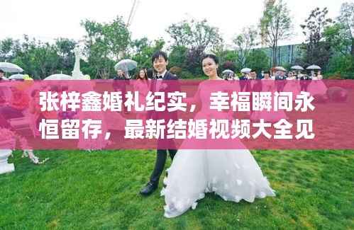 张梓鑫婚礼纪实,幸福瞬间永恒留存,最新结婚视频大全见证爱情时刻