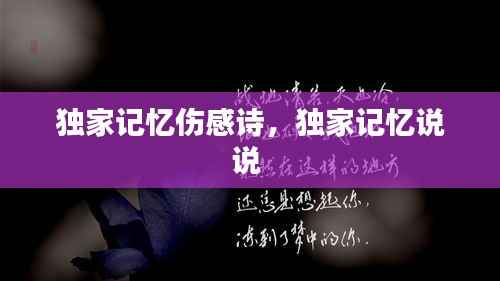 独家记忆伤感诗,独家记忆说说
