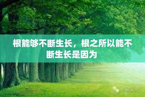 根能够不断生长,根之所以能不断生长是因为