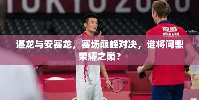 谌龙与安赛龙,赛场巅峰对决,谁将问鼎荣耀之巅?