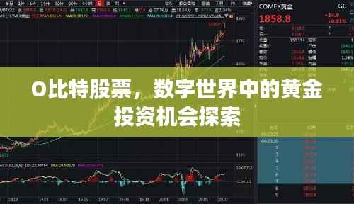 O比特股票,数字世界中的黄金投资机会探索