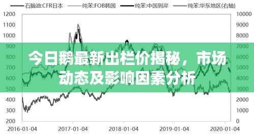 今日鹅最新出栏价揭秘,市场动态及影响因素分析