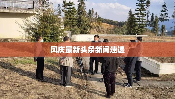 凤庆最新头条新闻速递