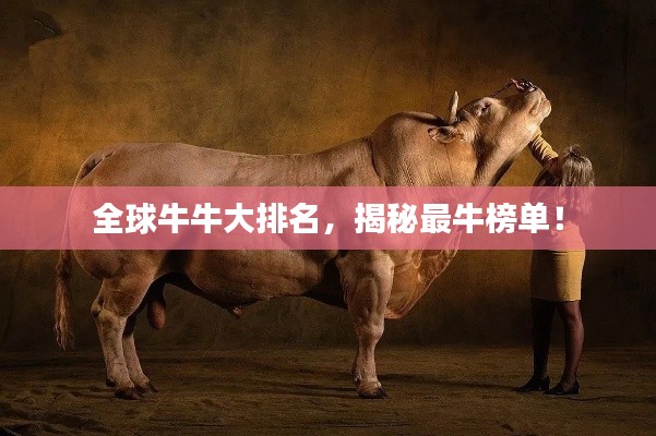全球牛牛大排名,揭秘最牛榜单!