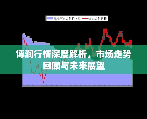 博润行情深度解析,市场走势回顾与未来展望