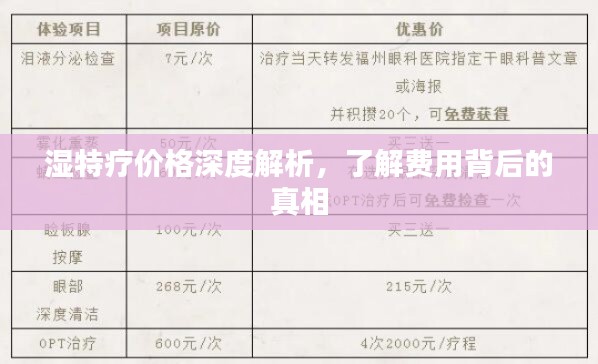 湿特疗价格深度解析,了解费用背后的真相