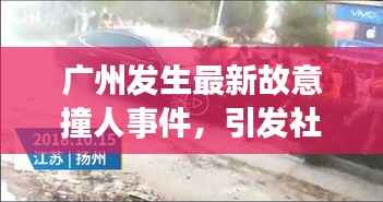 广州发生最新故意撞人事件,引发社会震惊关注