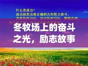 冬牧场上的奋斗之光,励志故事,温暖人心