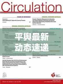 平舆最新动态速递,今日热点消息一网打尽