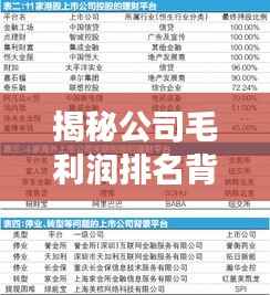 揭秘公司毛利润排名背后的成功秘诀!