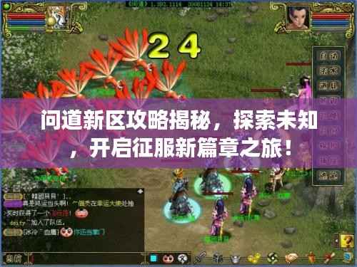 问道新区攻略揭秘,探索未知,开启征服新篇章之旅!