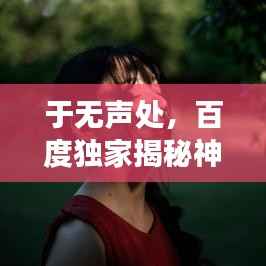 于无声处,百度独家揭秘神秘小说故事
