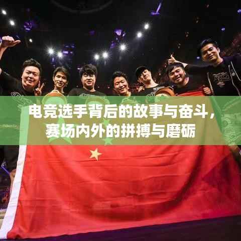 电竞选手背后的故事与奋斗,赛场内外的拼搏与磨砺