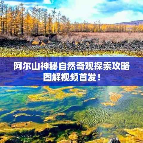 展翅欲飞 第5页