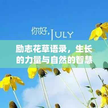 励志花草语录,生长的力量与自然的智慧