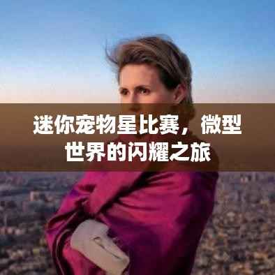 迷你宠物星比赛,微型世界的闪耀之旅