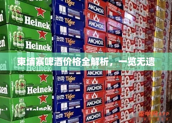 柬埔寨啤酒价格全解析,一览无遗