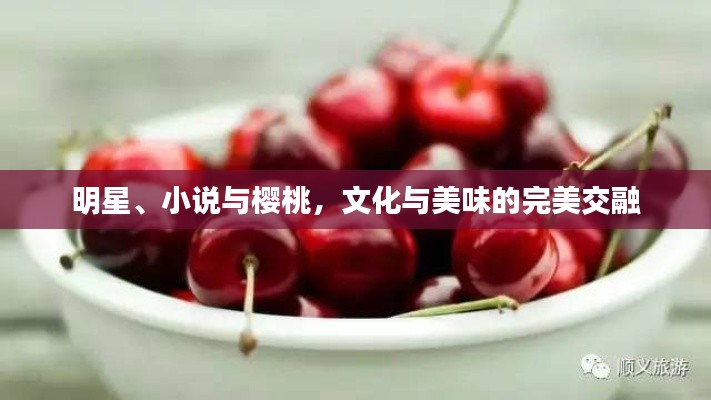 明星、小说与樱桃,文化与美味的完美交融