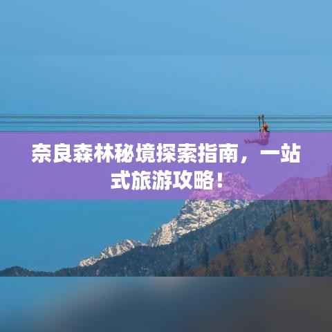 奈良森林秘境探索指南,一站式旅游攻略!