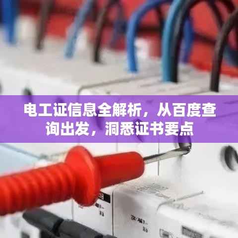 电工证信息全解析,从百度查询出发,洞悉证书要点
