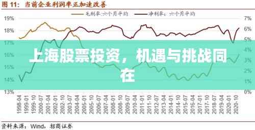 上海股票投资，机遇与挑战同在