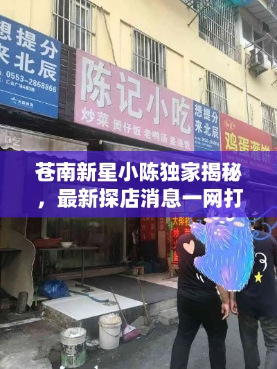 苍南新星小陈独家揭秘,最新探店消息一网打尽