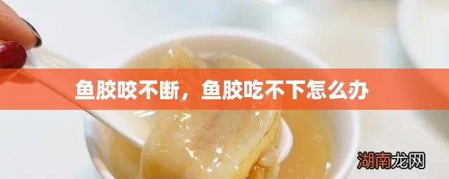 鱼胶咬不断,鱼胶吃不下怎么办