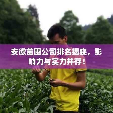 安徽苗圃公司排名揭晓,影响力与实力并存!