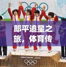 郎平追星之旅,体育传奇的追星之路