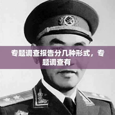 专题调查报告分几种形式,专题调查有