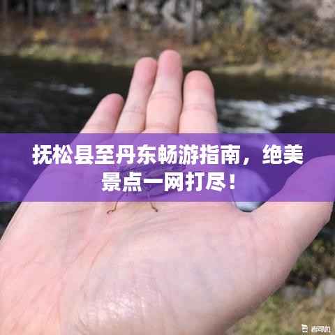 抚松县至丹东畅游指南,绝美景点一网打尽!