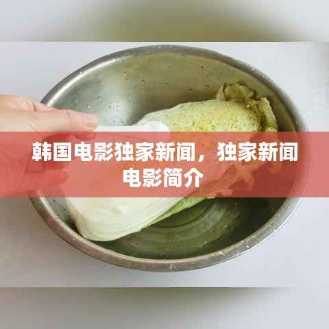 韩国电影独家新闻,独家新闻电影简介