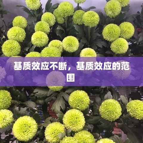 基质效应不断,基质效应的范围