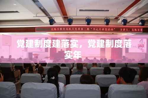 党建制度建落实,党建制度落实年