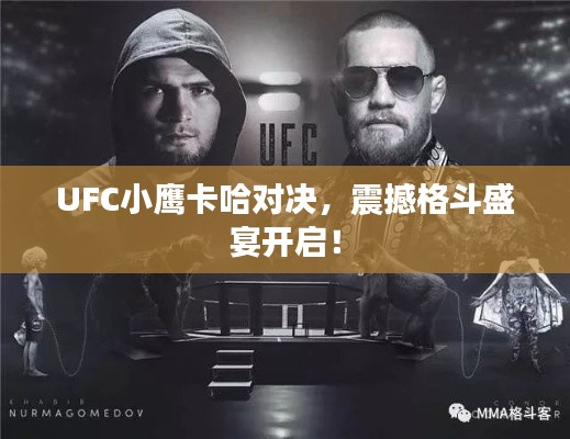 UFC小鹰卡哈对决,震撼格斗盛宴开启!