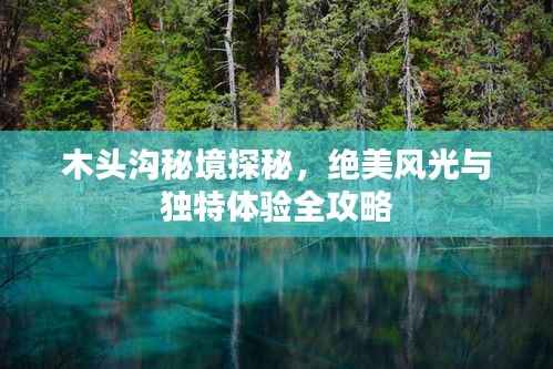 木头沟秘境探秘,绝美风光与独特体验全攻略