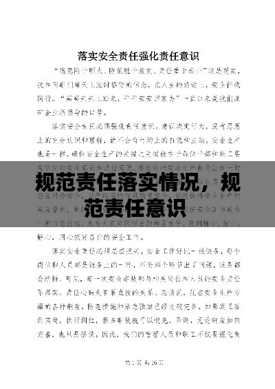 规范责任落实情况,规范责任意识