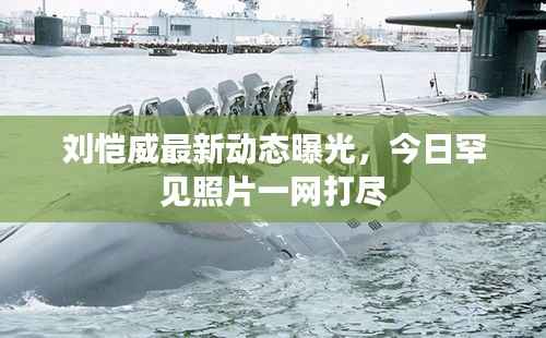 刘恺威最新动态曝光,今日罕见照片一网打尽