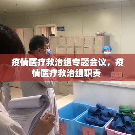 疫情医疗救治组专题会议，疫情医疗救治组职责 