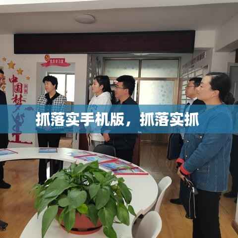 抓落实手机版,抓落实抓