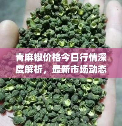 青麻椒价格今日行情深度解析,最新市场动态,不容错过!