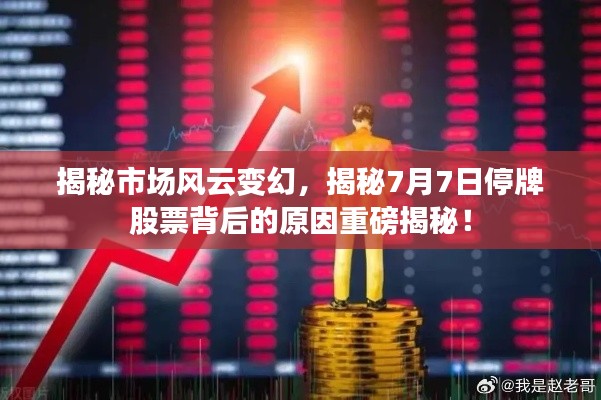 张灯挂彩 第4页