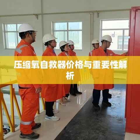 压缩氧自救器价格与重要性解析