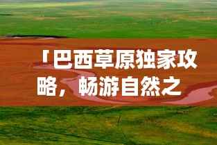 「巴西草原独家攻略,畅游自然之美!」