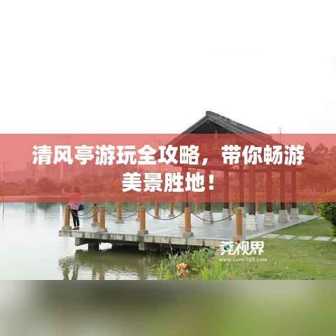 虫蚀鸟步 第4页