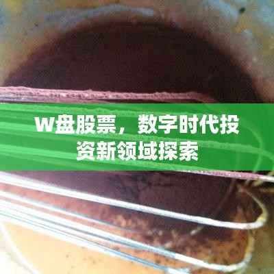 W盘股票，数字时代投资新领域探索