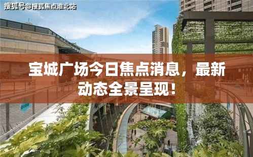 宝城广场今日焦点消息,最新动态全景呈现!