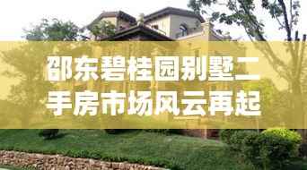 邵东碧桂园别墅二手房市场风云再起,最新动态揭秘