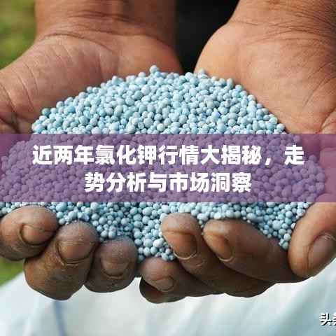 近两年氯化钾行情大揭秘,走势分析与市场洞察