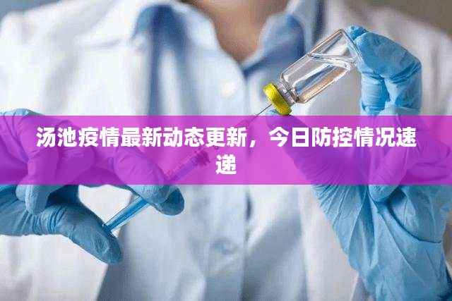 汤池疫情最新动态更新,今日防控情况速递